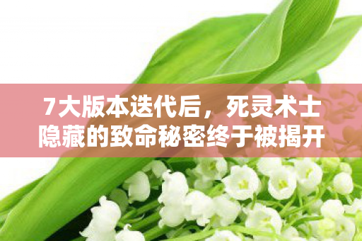7大版本迭代后，死灵术士隐藏的致命秘密终于被揭开！