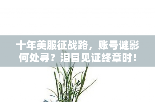 十年美服征战路,账号谜影何处寻?泪目见证终章时! 十年美服征战路,账号谜影何处寻?泪目见证终章时!