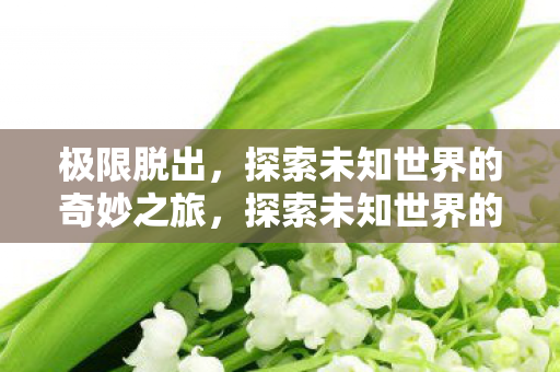 极限脱出,探索未知世界的奇妙之旅,探索未知世界的奇妙之旅,极限脱出 极限脱出,探索未知世界的奇妙之旅,探索未知世界的奇妙之旅,极限脱出