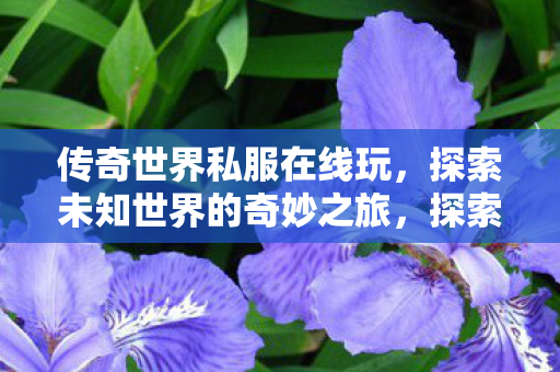 探索未知世界的奇妙之旅图片