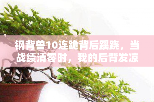 钢背兽10连跪背后蹊跷，当战绩清零时，我的后背发凉了