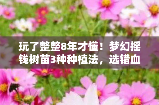 玩了整整8年才懂!梦幻摇钱树苗3种种植法,选错血亏还是暴富? 玩了整整8年才懂!梦幻摇钱树苗3种种植法,选错血亏还是暴富?