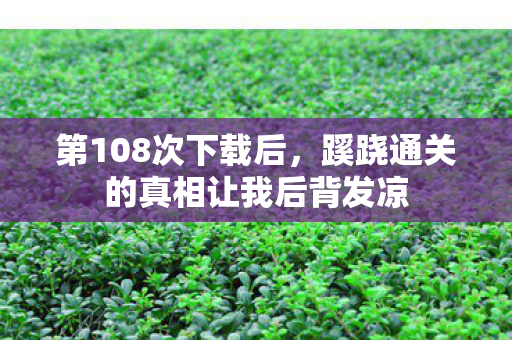 第108次下载后，蹊跷通关的真相让我后背发凉