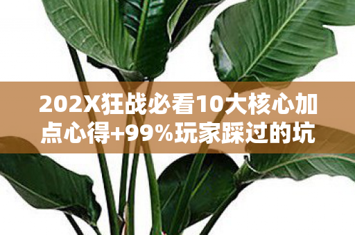 202X狂战必看10大核心加点心得+99%玩家踩过的坑避雷指南