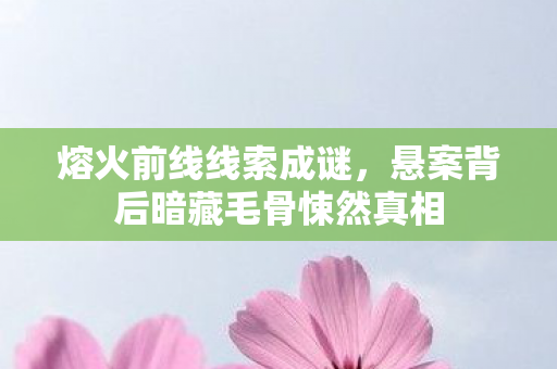 熔火前线线索成谜,悬案背后暗藏毛骨悚然真相 熔火前线线索成谜,悬案背后暗藏毛骨悚然真相