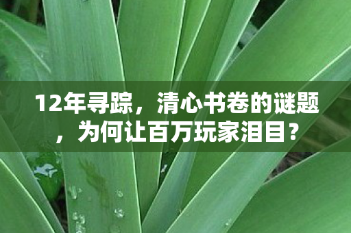 12年寻踪,清心书卷的谜题,为何让百万玩家泪目? 12年寻踪,清心书卷的谜题,为何让百万玩家泪目?
