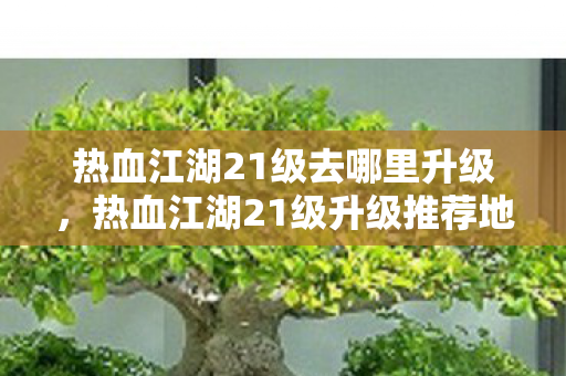 热血江湖21级去哪里升级,热血江湖21级升级推荐地点 热血江湖21级去哪里升级,热血江湖21级升级推荐地点
