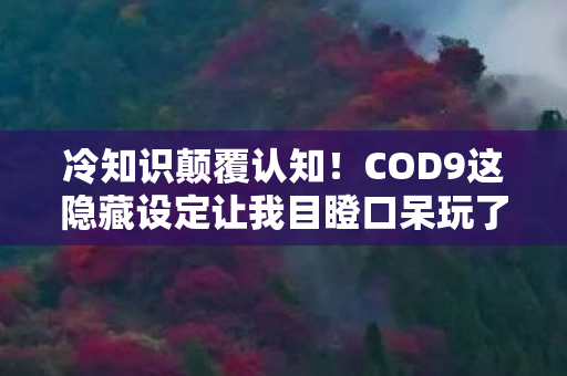 冷知识颠覆认知！COD9这隐藏设定让我目瞪口呆玩了十年才懂