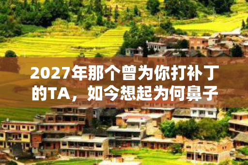 2027年那个曾为你打补丁的TA，如今想起为何鼻子一酸？