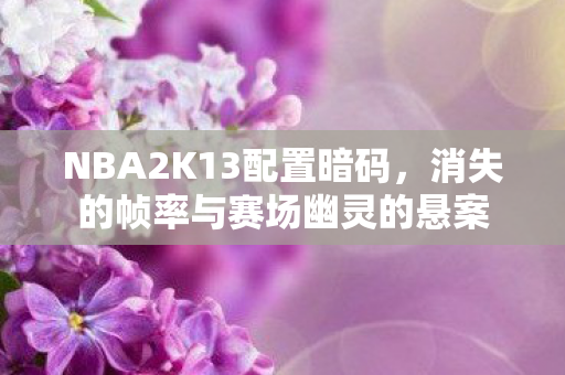 NBA2K13配置暗码,消失的帧率与赛场幽灵的悬案 NBA2K13配置暗码,消失的帧率与赛场幽灵的悬案