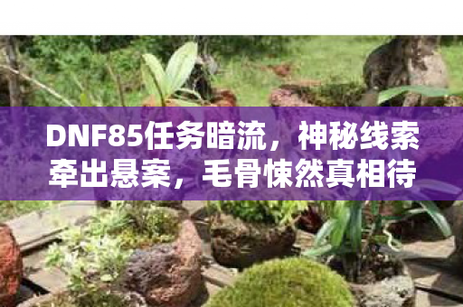 DNF85任务暗流,神秘线索牵出悬案,毛骨悚然真相待解 DNF85任务暗流,神秘线索牵出悬案,毛骨悚然真相待解