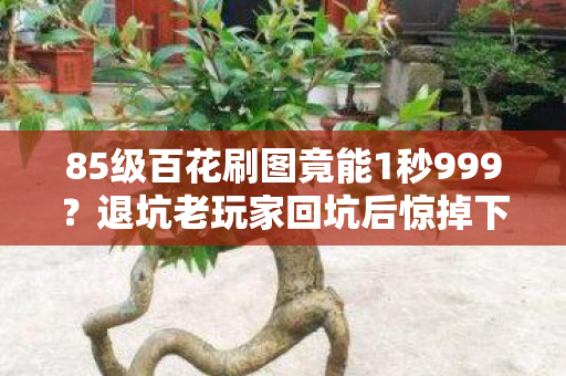 85级百花刷图竟能1秒999？退坑老玩家回坑后惊掉下巴！
