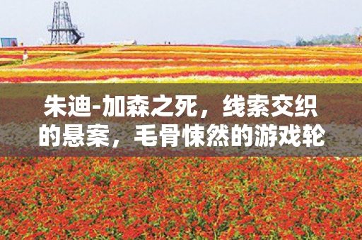 朱迪-加森之死,线索交织的悬案,毛骨悚然的游戏轮回 朱迪-加森之死,线索交织的悬案,毛骨悚然的游戏轮回