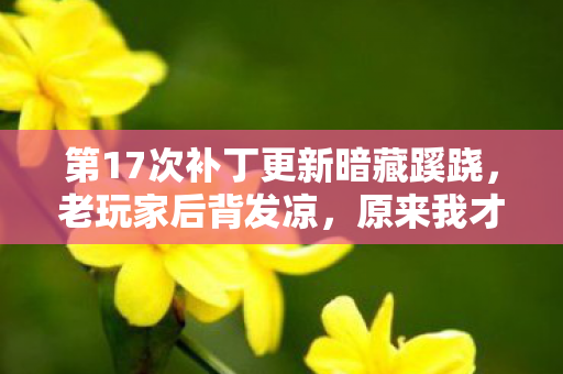 第17次补丁更新暗藏蹊跷，老玩家后背发凉，原来我才是小丑