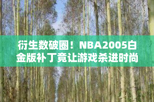 衍生数破圈！NBA2005白金版补丁竟让游戏杀进时尚综艺圈，意想不到！