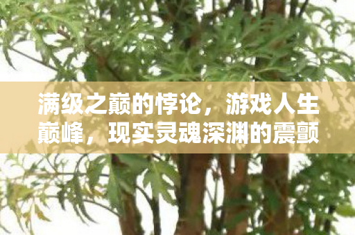 满级之巅的悖论，游戏人生巅峰，现实灵魂深渊的震颤