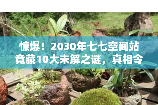 惊爆!2030年七七空间站竟藏10大未解之谜,真相令人颤抖! 惊爆!2030年七七空间站竟藏10大未解之谜,真相令人颤抖!