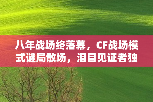八年战场终落幕,CF战场模式谜局散场,泪目见证者独白 八年战场终落幕,CF战场模式谜局散场,泪目见证者独白