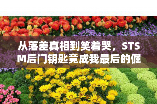 从落差真相到笑着哭,STSM后门钥匙竟成我最后的倔强 从落差真相到笑着哭,STSM后门钥匙竟成我最后的倔强