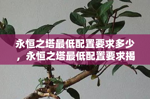 永恒之塔最低配置要求多少,永恒之塔最低配置要求揭秘 永恒之塔最低配置要求多少,永恒之塔最低配置要求揭秘