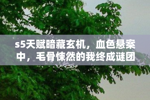 s5天赋暗藏玄机,血色悬案中,毛骨悚然的我终成谜团 s5天赋暗藏玄机,血色悬案中,毛骨悚然的我终成谜团