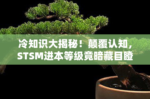 冷知识大揭秘!颠覆认知,STSM进本等级竟暗藏目瞪口呆玄机 冷知识大揭秘!颠覆认知,STSM进本等级竟暗藏目瞪口呆玄机