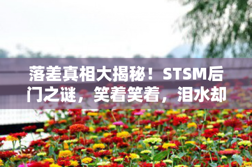 落差真相大揭秘！STSM后门之谜，笑着笑着，泪水却悄然滑落