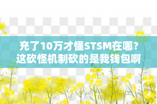 充了10万才懂STSM在哪？这砍怪机制砍的是我钱包啊！