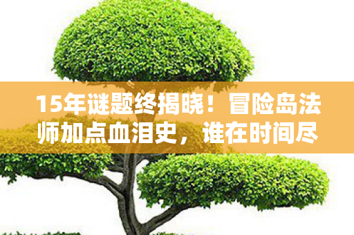 15年谜题终揭晓!冒险岛法师加点血泪史,谁在时间尽头等我们? 15年谜题终揭晓!冒险岛法师加点血泪史,谁在时间尽头等我们?
