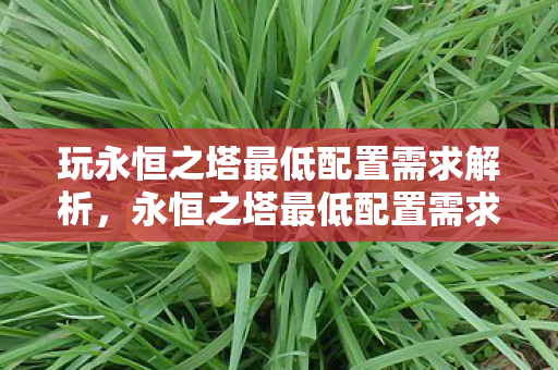 玩永恒之塔最低配置需求解析,永恒之塔最低配置需求全解析 玩永恒之塔最低配置需求解析,永恒之塔最低配置需求全解析