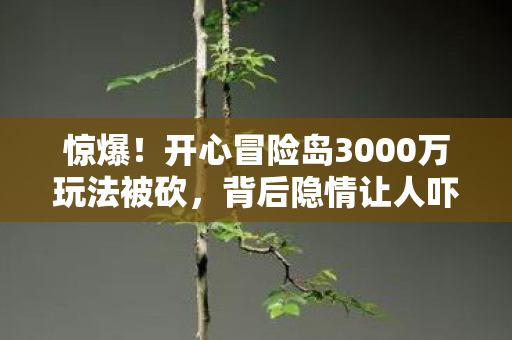 惊爆!开心冒险岛3000万玩法被砍,背后隐情让人吓一跳! 惊爆!开心冒险岛3000万玩法被砍,背后隐情让人吓一跳!