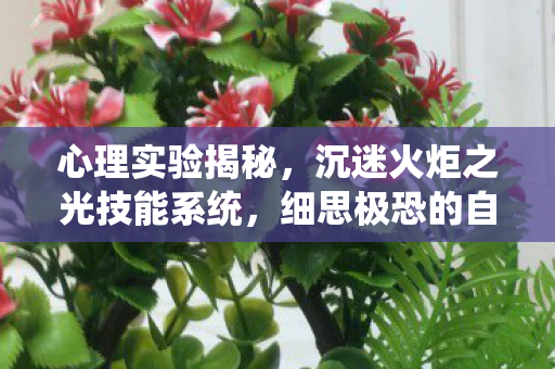 心理实验揭秘,沉迷火炬之光技能系统,细思极恐的自我囚禁 心理实验揭秘,沉迷火炬之光技能系统,细思极恐的自我囚禁