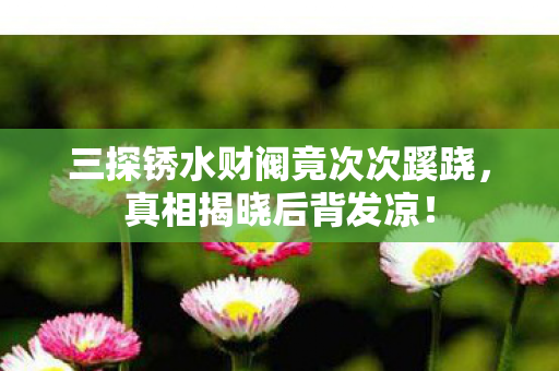 三探锈水财阀竟次次蹊跷,真相揭晓后背发凉! 三探锈水财阀竟次次蹊跷,真相揭晓后背发凉!