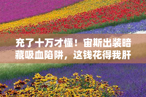 充了十万才懂!宙斯出装暗藏吸血陷阱,这钱花得我肝颤! 充了十万才懂!宙斯出装暗藏吸血陷阱,这钱花得我肝颤!