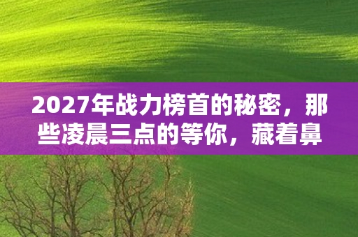 2027年战力榜首的秘密,那些凌晨三点的等你,藏着鼻子一酸的伏笔 2027年战力榜首的秘密,那些凌晨三点的等你,藏着鼻子一酸的伏笔