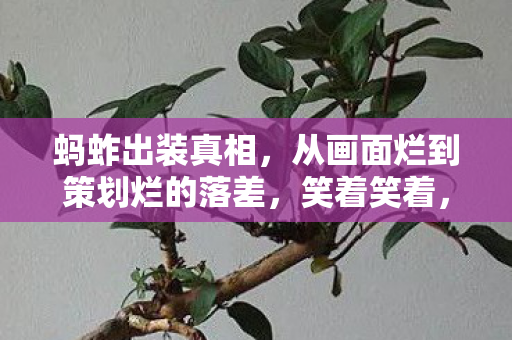 蚂蚱出装真相，从画面烂到策划烂的落差，笑着笑着，我哭了
