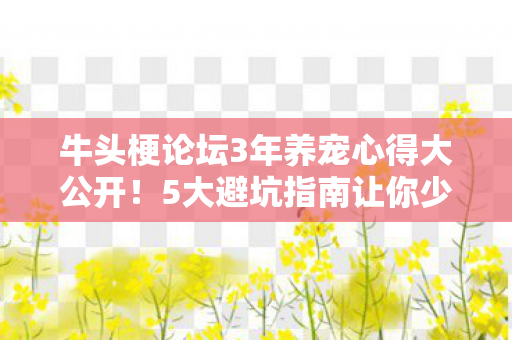 牛头梗论坛3年养宠心得大公开！5大避坑指南让你少走弯路