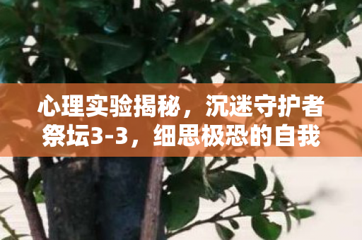 心理实验揭秘,沉迷守护者祭坛3-3,细思极恐的自我麻醉之旅 心理实验揭秘,沉迷守护者祭坛3-3,细思极恐的自我麻醉之旅