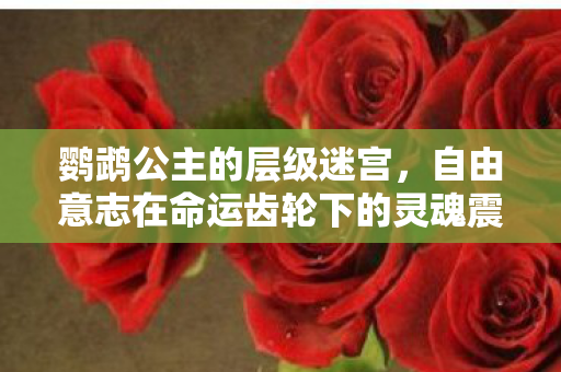 鹦鹉公主的层级迷宫,自由意志在命运齿轮下的灵魂震颤 鹦鹉公主的层级迷宫,自由意志在命运齿轮下的灵魂震颤