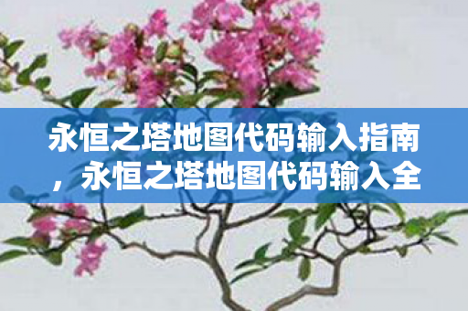 永恒之塔地图代码输入指南,永恒之塔地图代码输入全攻略 永恒之塔地图代码输入指南,永恒之塔地图代码输入全攻略