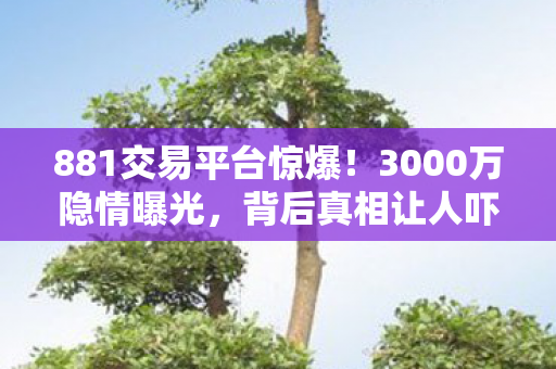 881交易平台惊爆!3000万隐情曝光,背后真相让人吓一跳! 881交易平台惊爆!3000万隐情曝光,背后真相让人吓一跳!