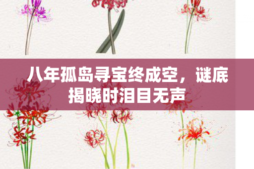八年孤岛寻宝终成空，谜底揭晓时泪目无声