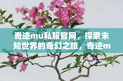 奇迹mu私服官网,探索未知世界的奇幻之旅,奇迹mu私服官网,开启你的奇幻冒险之旅 奇迹mu私服官网,探索未知世界的奇幻之旅,奇迹mu私服官网,开启你的奇幻冒险之旅