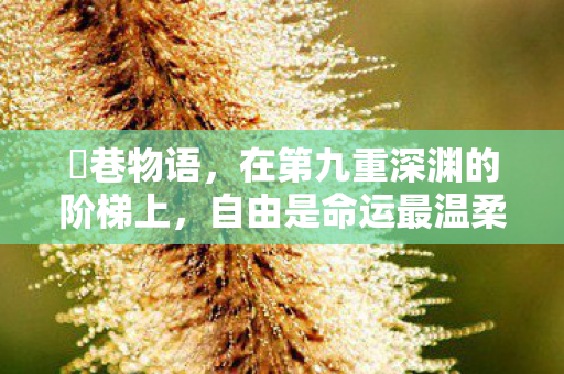 鹮巷物语,在第九重深渊的阶梯上,自由是命运最温柔的陷阱 鹮巷物语,在第九重深渊的阶梯上,自由是命运最温柔的陷阱