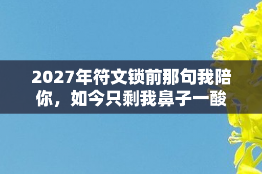 2027年符文锁前那句我陪你，如今只剩我鼻子一酸