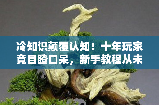 冷知识颠覆认知!十年玩家竟目瞪口呆,新手教程从未通关? 冷知识颠覆认知!十年玩家竟目瞪口呆,新手教程从未通关?