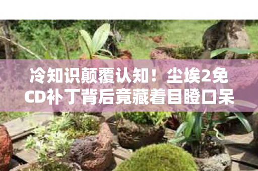 冷知识颠覆认知！尘埃2免CD补丁背后竟藏着目瞪口呆的真相