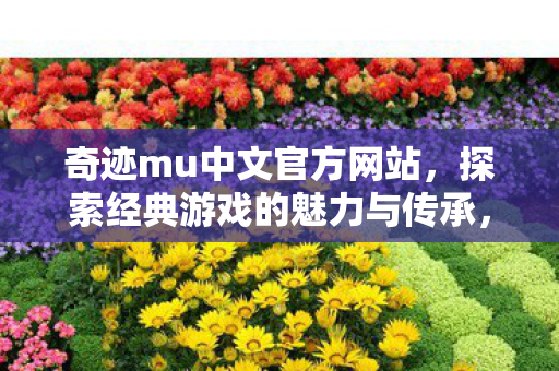 探索经典游戏的魅力与传承图片