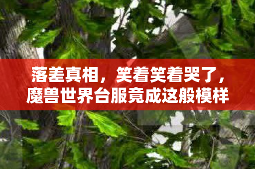 落差真相,笑着笑着哭了,魔兽世界台服竟成这般模样? 落差真相,笑着笑着哭了,魔兽世界台服竟成这般模样?