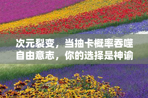 次元裂变,当抽卡概率吞噬自由意志,你的选择是神谕还是诅咒? 次元裂变,当抽卡概率吞噬自由意志,你的选择是神谕还是诅咒?